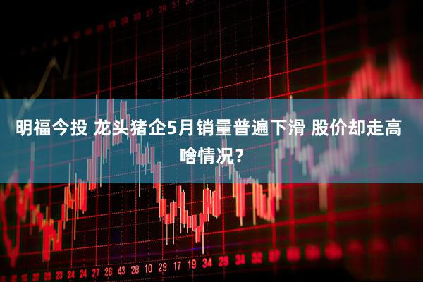 明福今投 龙头猪企5月销量普遍下滑 股价却走高 啥情况？