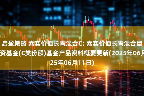 启盈策略 嘉实价值长青混合C: 嘉实价值长青混合型证券投资基金(C类份额)基金产品资料概要更新(2025年06月11日)