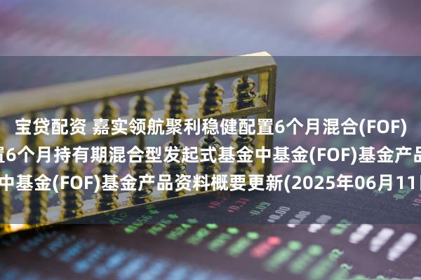 宝贷配资 嘉实领航聚利稳健配置6个月混合(FOF): 嘉实领航聚利稳健配置6个月持有期混合型发起式基金中基金(FOF)基金产品资料概要更新(2025年06月11日)