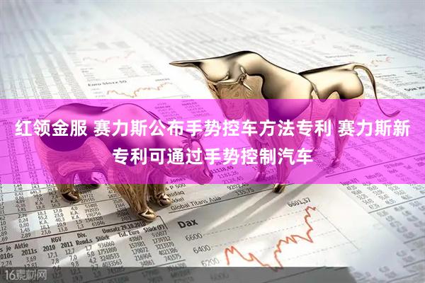 红领金服 赛力斯公布手势控车方法专利 赛力斯新专利可通过手势控制汽车