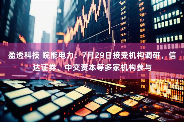 盈透科技 皖能电力：7月29日接受机构调研，信达证券、中交资本等多家机构参与