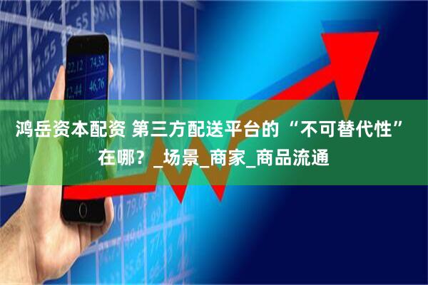 鸿岳资本配资 第三方配送平台的 “不可替代性” 在哪？_场景_商家_商品流通