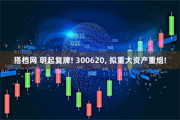 搭档网 明起复牌! 300620, 拟重大资产重组!