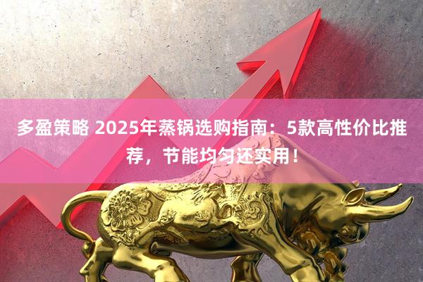 多盈策略 2025年蒸锅选购指南：5款高性价比推荐，节能均匀还实用！